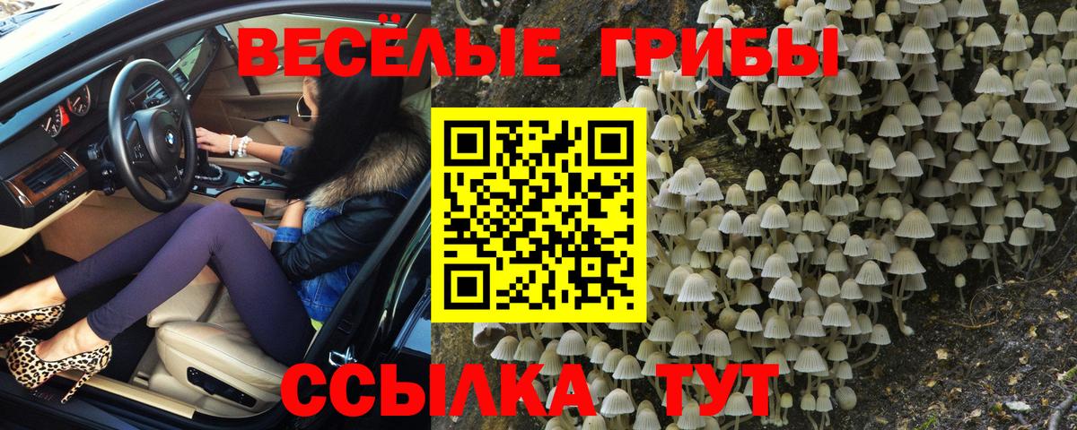 Галлюциногенные грибы мухоморы  цена   Фурманов  Вход с VPN 
